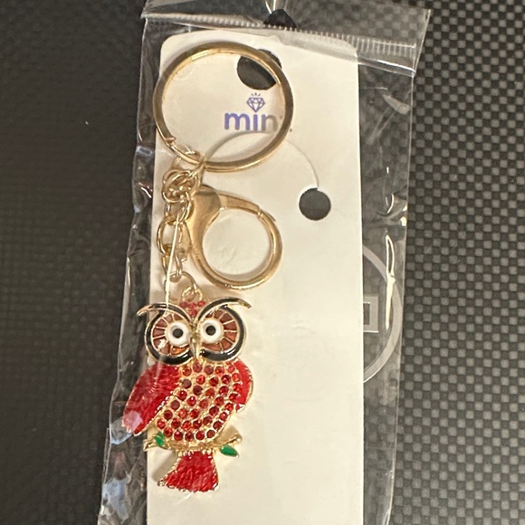 Mint Accessories - ❣️5|$25❣️Mint Keychain-bag charms   Your choice. 🆕